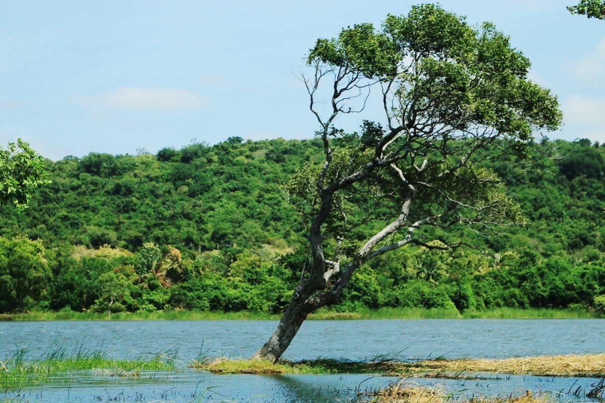 Athena Lake By Seedevi Dambulla Luaran gambar